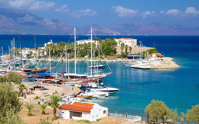 Boyabat / Ardıç